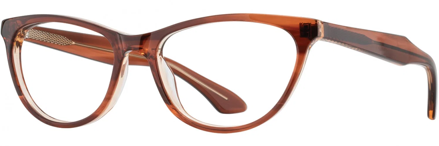 American Optical CAPER Eyeglasses - view 7